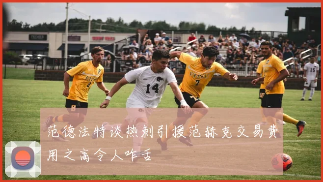 范德法特谈热刺引援范赫克交易费用之高令人咋舌