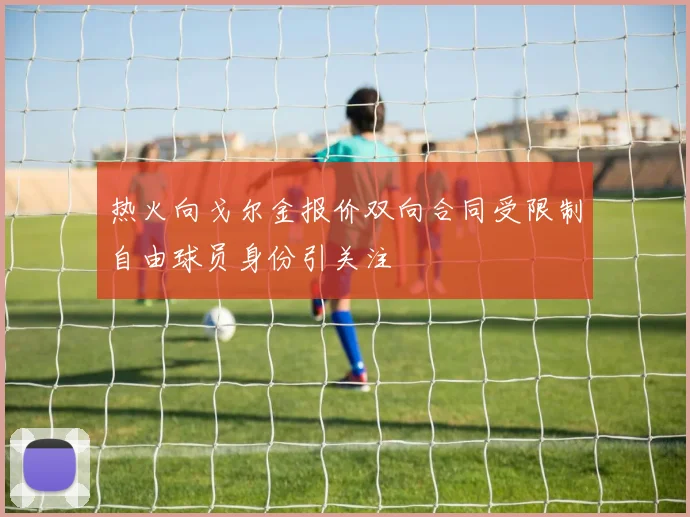 热火向戈尔金报价双向合同受限制自由球员身份引关注